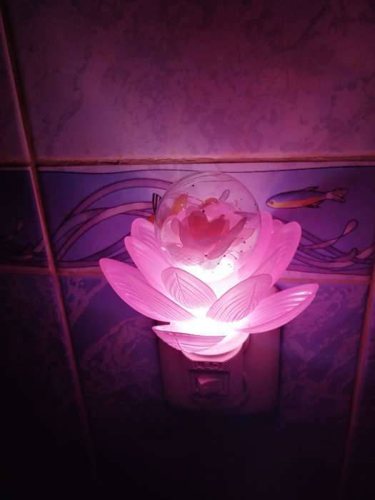 Фотография покупателя товара Ночник "Розовый цветок" LED 8х8х12 см RISALUX - Фото 8