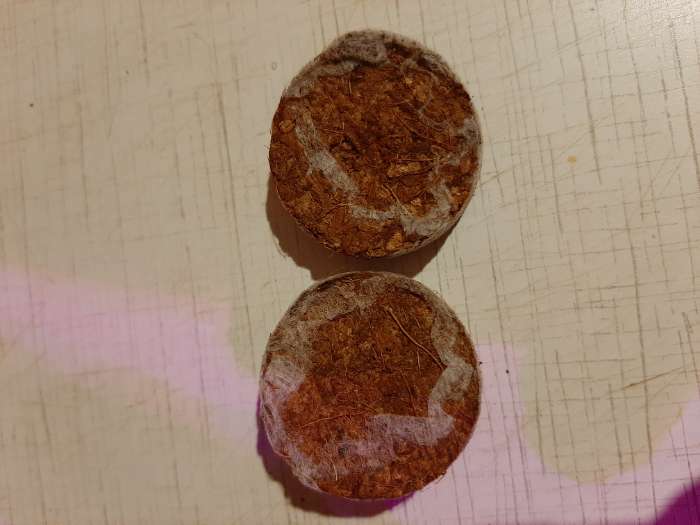 Фотография покупателя товара Таблетки кокосовые, d = 3 см, с оболочкой, набор 6 шт., Greengo