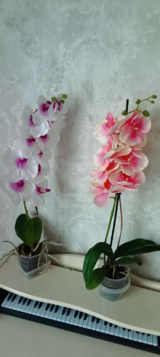 Фотография покупателя товара Цветы искусственные "Орхидея Изящная" 10х100 см, розовый