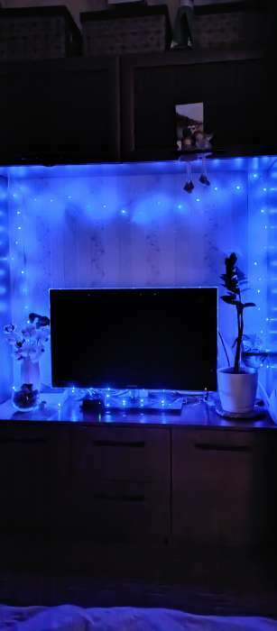 Фотография покупателя товара Гирлянда «Нить» 5 м роса, IP20, серебристая нить, 50 LED, свечение синее, CR2032х2 - Фото 2