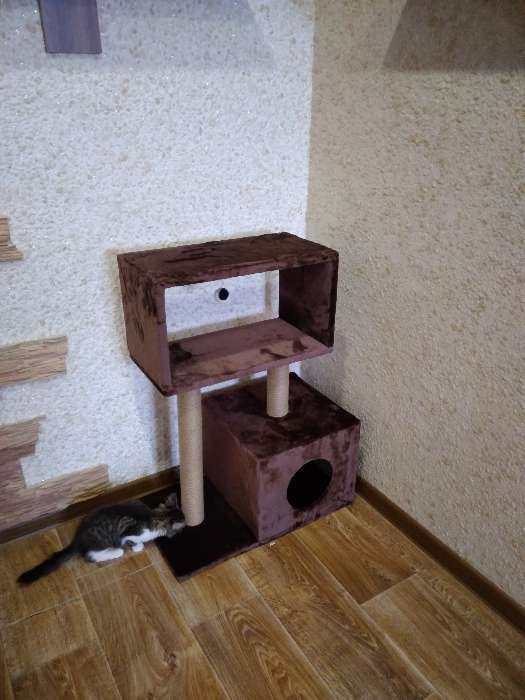 Фотография покупателя товара Домик для кошек с когтеточкой "Куб", с мезонином и игрушкой, 60 х 35 х 85 см, микс цветов - Фото 2