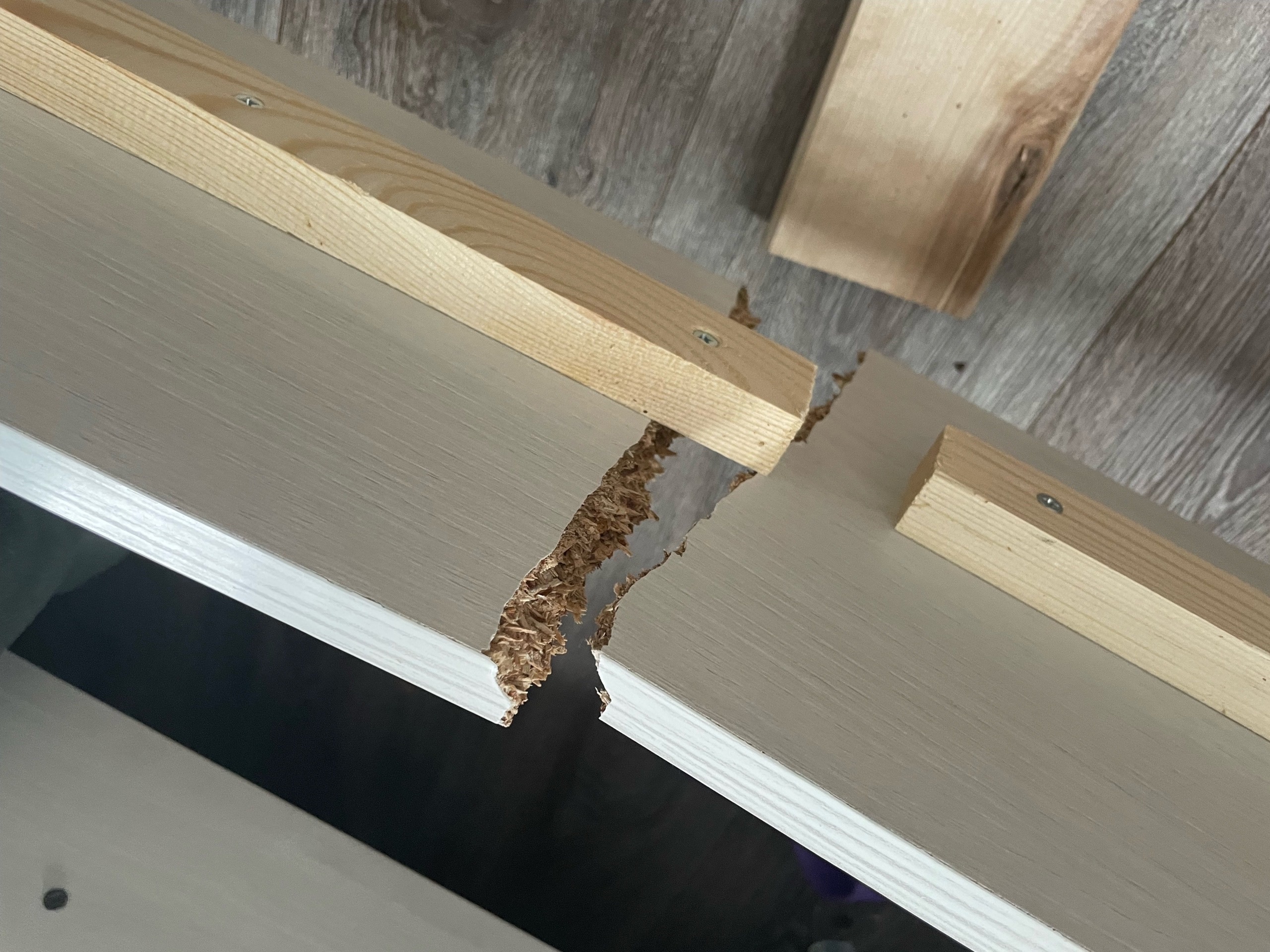 Фотография покупателя товара Кровать односпальная «Омега 16», 90×190 см, ЛДСП, цвет ясень анкор светлый - Фото 4