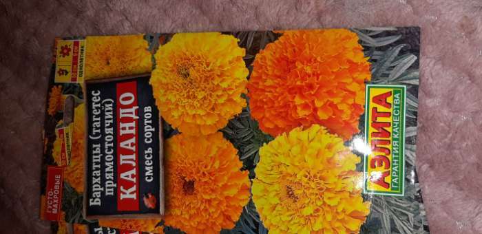 Фотография покупателя товара Семена цветов Бархатцы "Каландо", смесь окрасок, О, 0,3 г - Фото 21