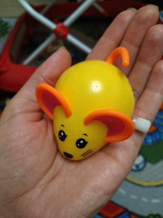 Фотография покупателя товара Заводная игрушка «Мышка», цвета МИКС - Фото 4
