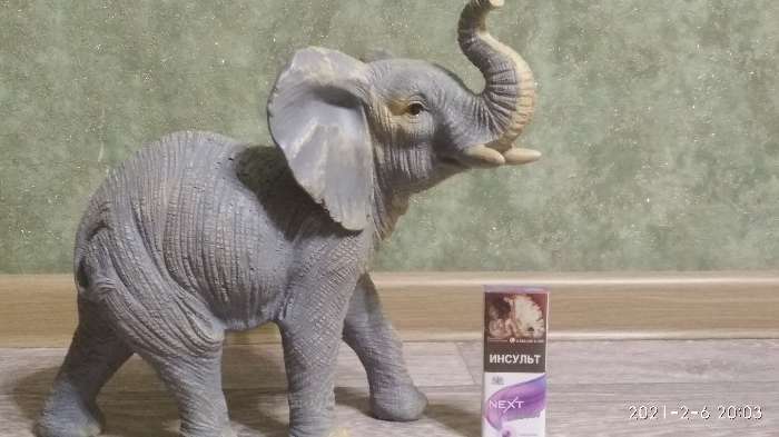 Фотография покупателя товара Фигура "Слон" серый, 28х29х15см - Фото 5
