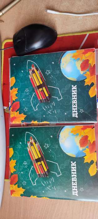 Фотография покупателя товара Дневник универсальный для 1-11 классов, "Школа", мягкая обложка, 40 листов