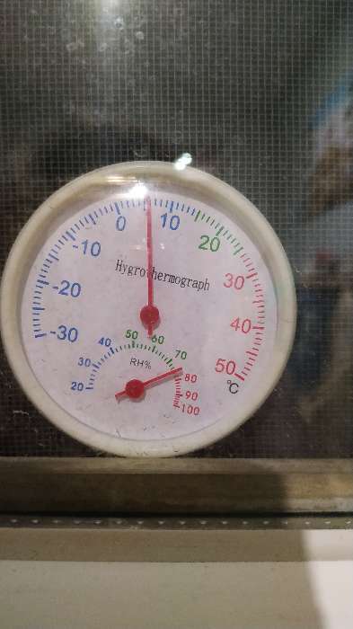 Фотография покупателя товара Термометр уличный, гигрометр, d=6.5 cм, белый