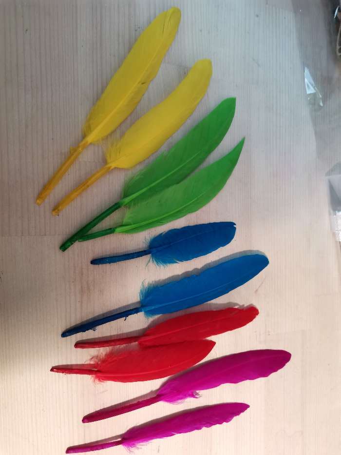 Фотография покупателя товара Набор перьев для декора 10 шт., размер 1 шт: 15 × 1,5 см, цвета МИКС - Фото 6