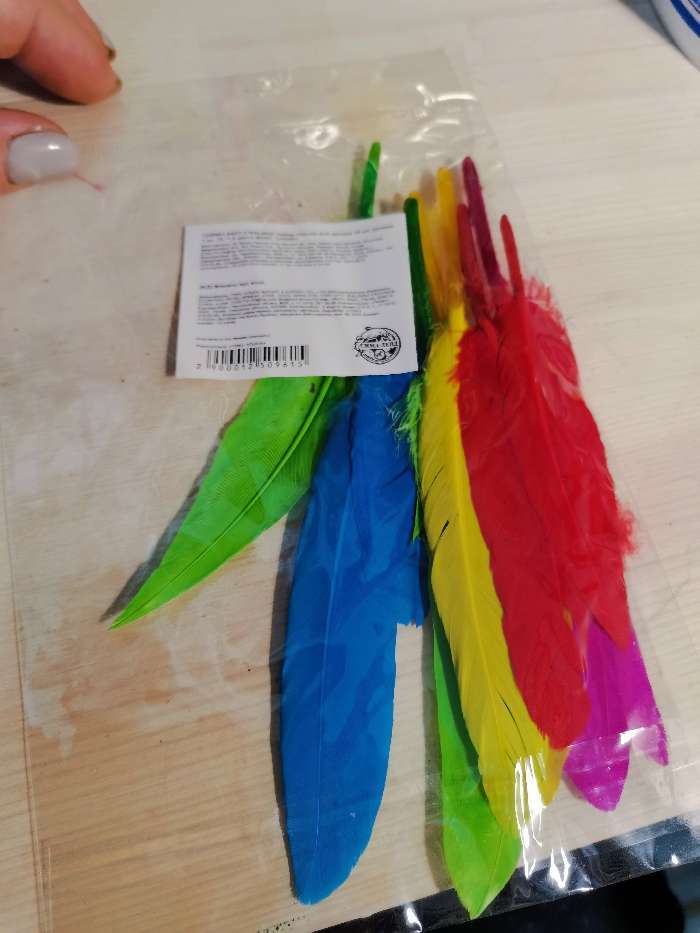 Фотография покупателя товара Набор перьев для декора 10 шт., размер 1 шт: 15 × 1,5 см, цвета МИКС - Фото 3