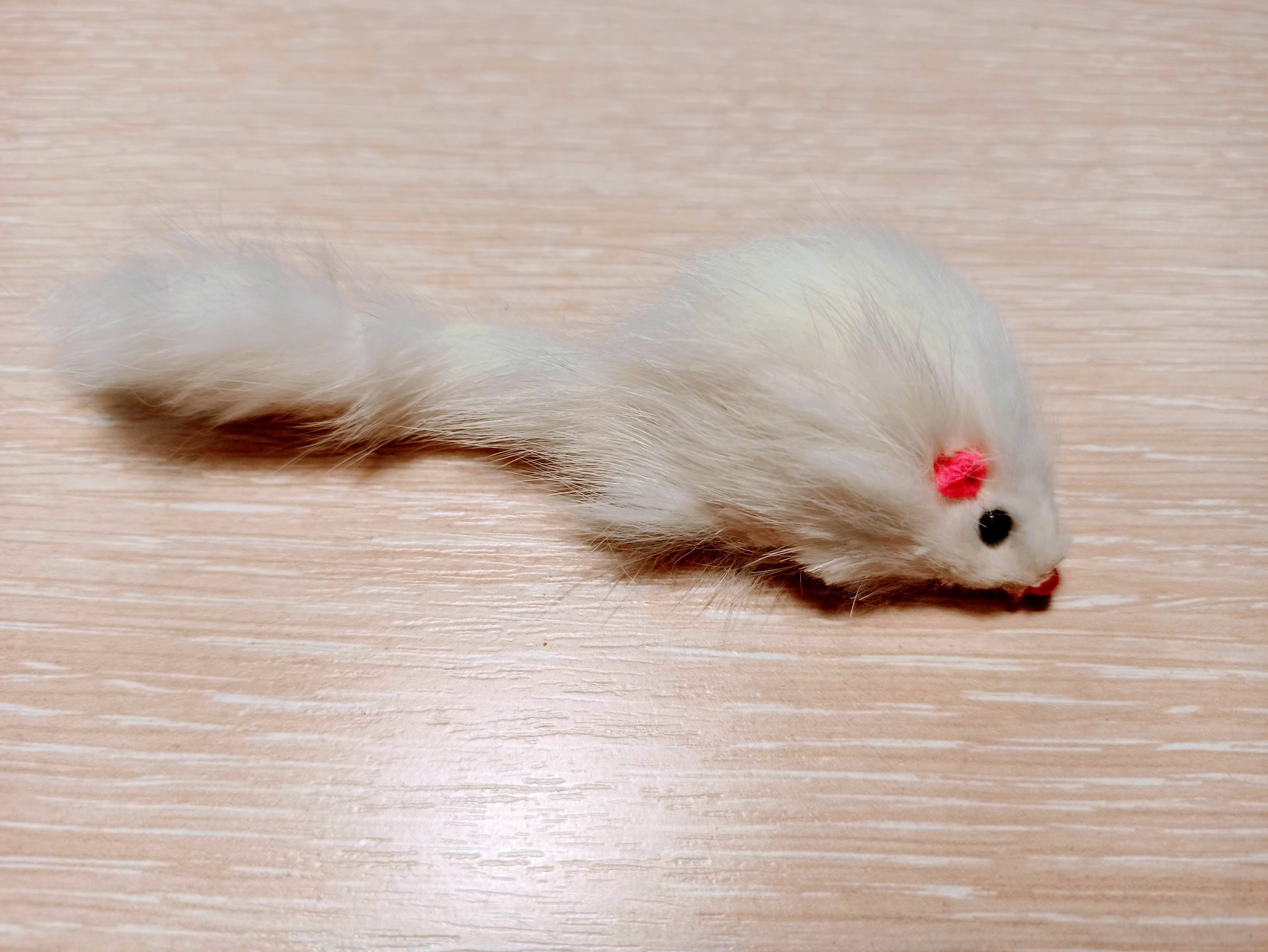 Фотография покупателя товара Мышь из натурального меха, 5 см, белая - Фото 2