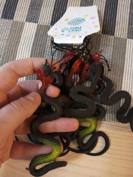 Фотография покупателя товара Прикол «Змея», резиновая, чёрная - Фото 1