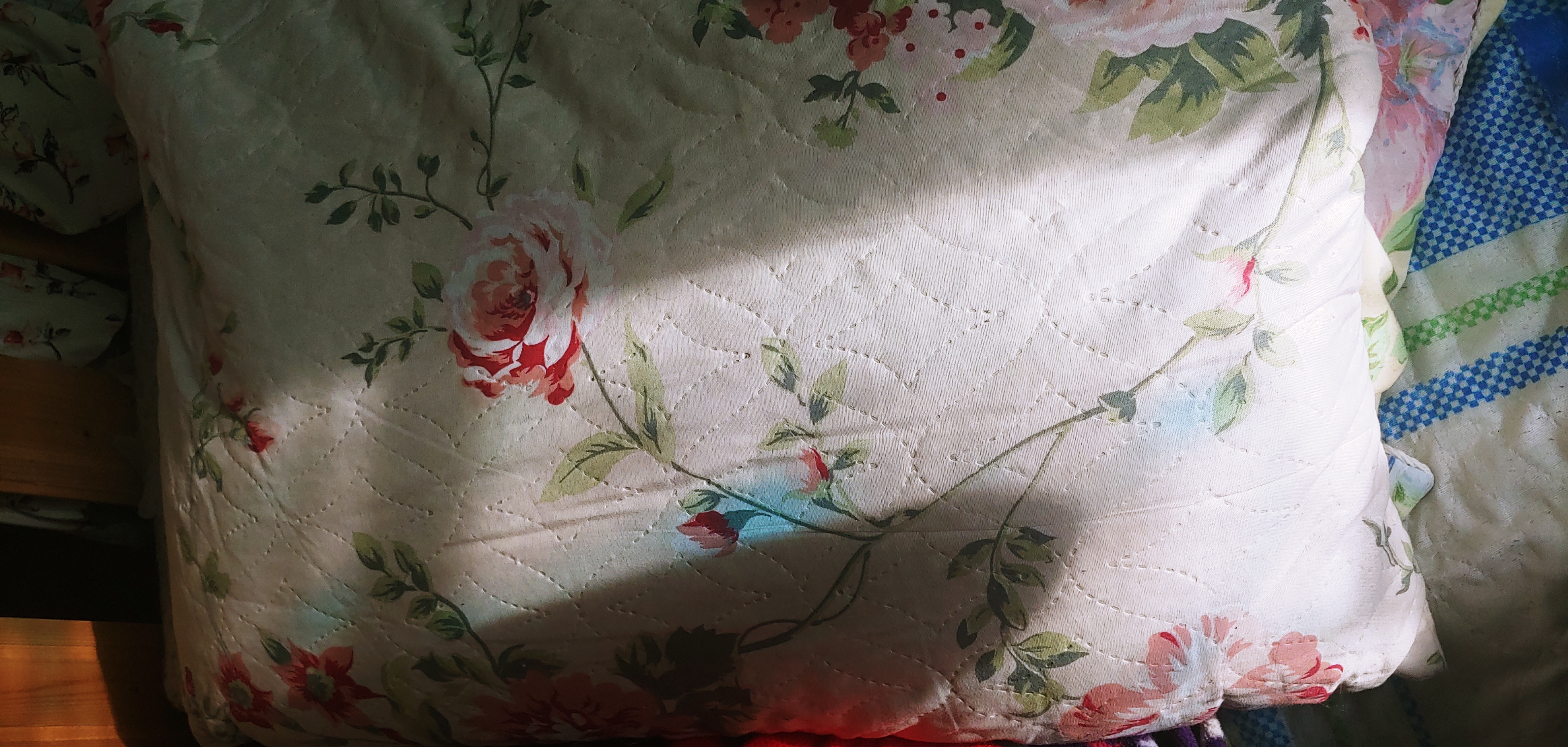 Фотография покупателя товара Подушка Адель размер 48х68 см, лузга гречихи, цвет МИКС, полиэстер