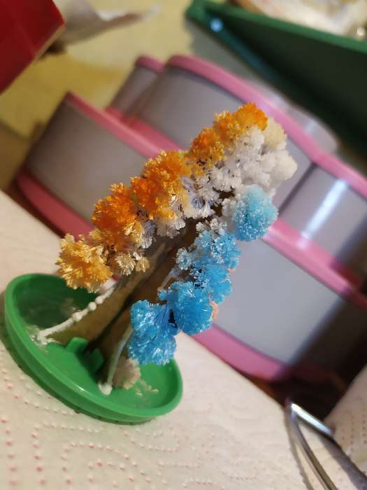 Фотография покупателя товара Набор для выращивания кристалла «Волшебное дерево» цвет разноцветный - Фото 34