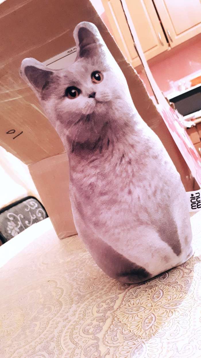 Фотография покупателя товара Игрушка-антистресс «Серый кот», 19х28 см - Фото 4