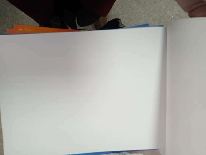 Фотография покупателя товара Альбом для рисования А4, 24 листа 100 г/м², на скрепке, Холодное сердце