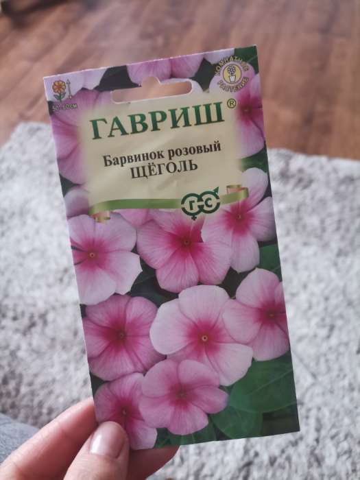 Фотография покупателя товара Семена комнатных цветов Барвинок "Щеголь", 0,05 г - Фото 12