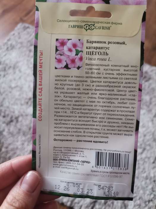 Фотография покупателя товара Семена комнатных цветов Барвинок "Щеголь", 0,05 г - Фото 11