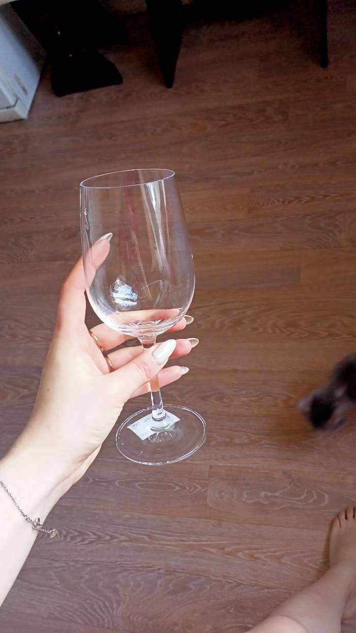 Фотография покупателя товара Бокал для вина «Родос», 350 мл, 8×20 см, цвет прозрачный - Фото 3