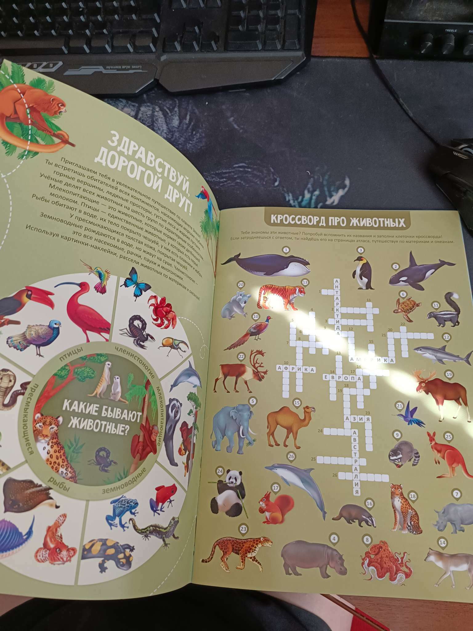 Фотография покупателя товара Атлас Мира с наклейками «Животные и растения», 21 × 29.7 см