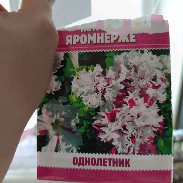 Фотография покупателя товара Семена цветов Петуния "Яромнерже", 5 шт. - Фото 2