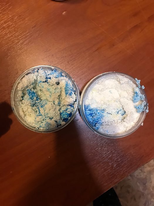 Фотография покупателя товара Лизун «Слайм» синий с уточкой и гранулами, 250 мл - Фото 1