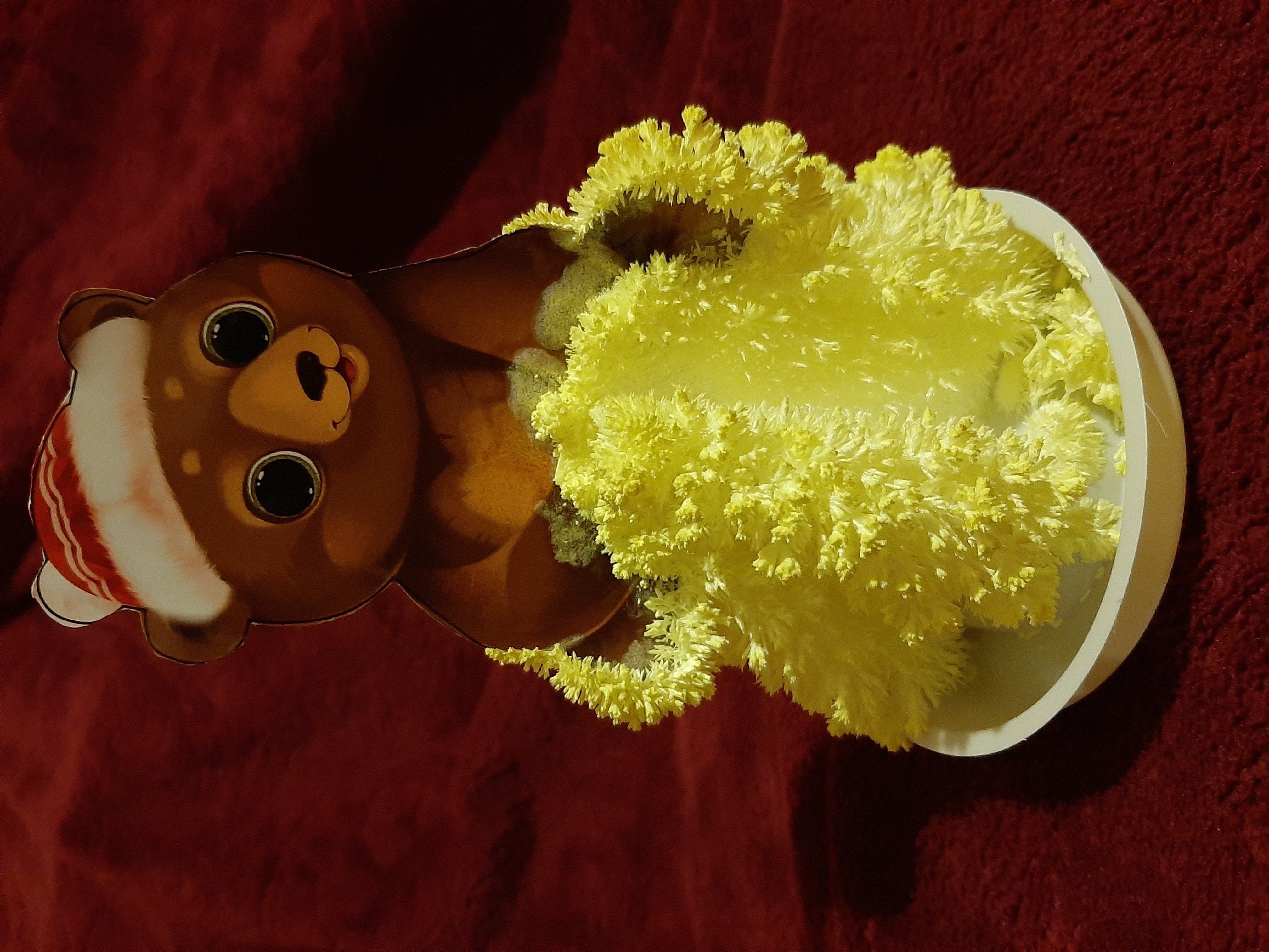Фотография покупателя товара Набор для творчества «Лучистые кристаллы»: Медвежонок в колпачке, цвет жёлтый