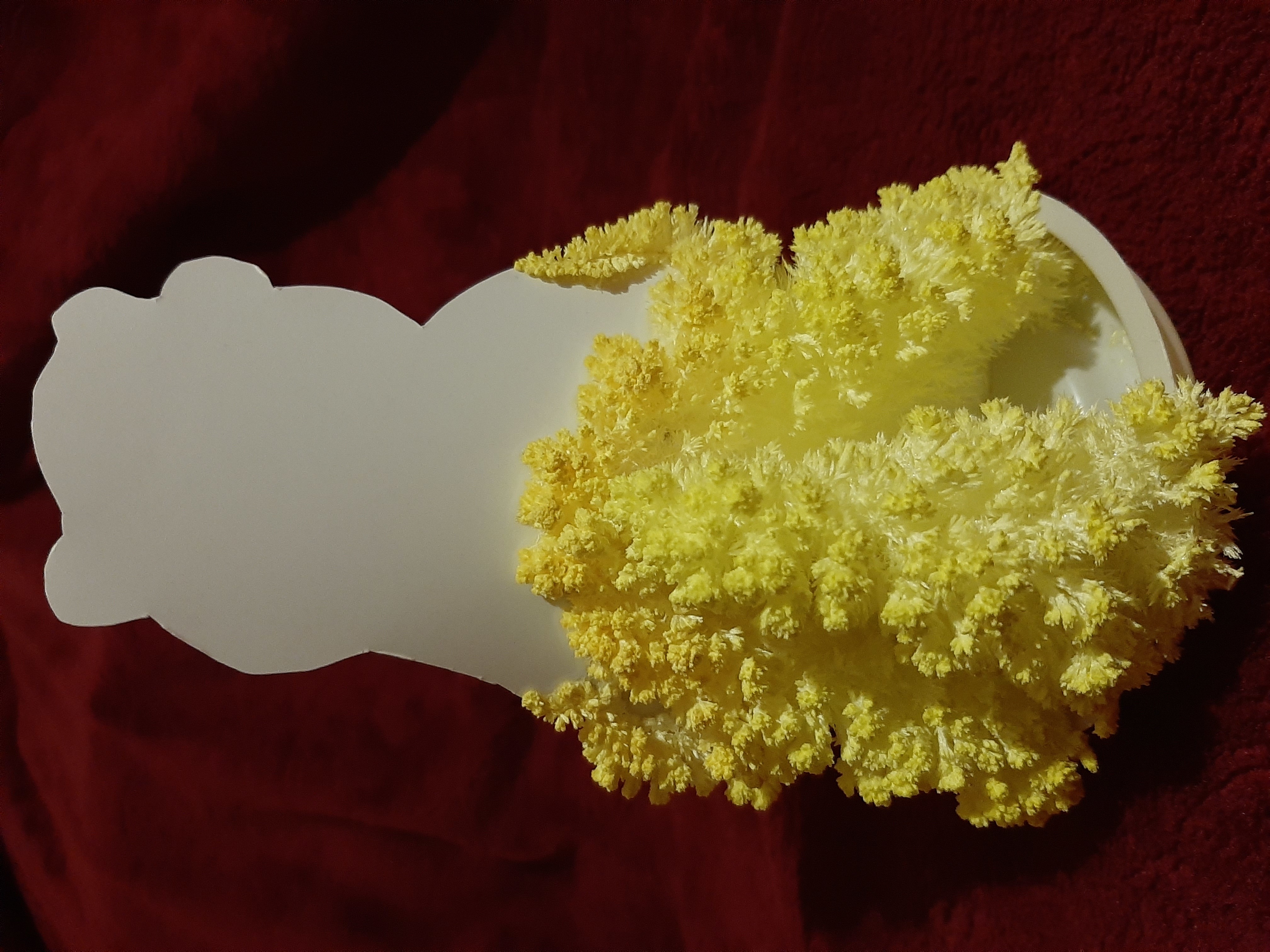 Фотография покупателя товара Набор для творчества «Лучистые кристаллы»: Медвежонок в колпачке, цвет жёлтый - Фото 2