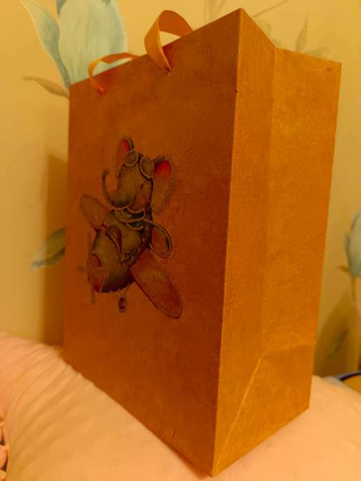Фотография покупателя товара Пакет подарочный ламинированный, упаковка, «Крафтовый», MS 18 х 23 х 10 см
