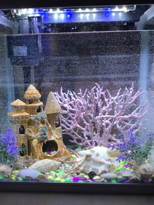 Фотография покупателя товара Грунт для аквариума " Галька золотистый металлик" галька декоративная  350 г фр.5-10 мм