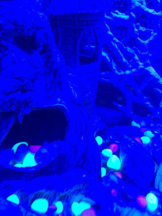 Фотография покупателя товара Галька декоративная, флуоресцентная микс: лимонный, зеленый, пурпурный, 350 г, фр.5-10 мм