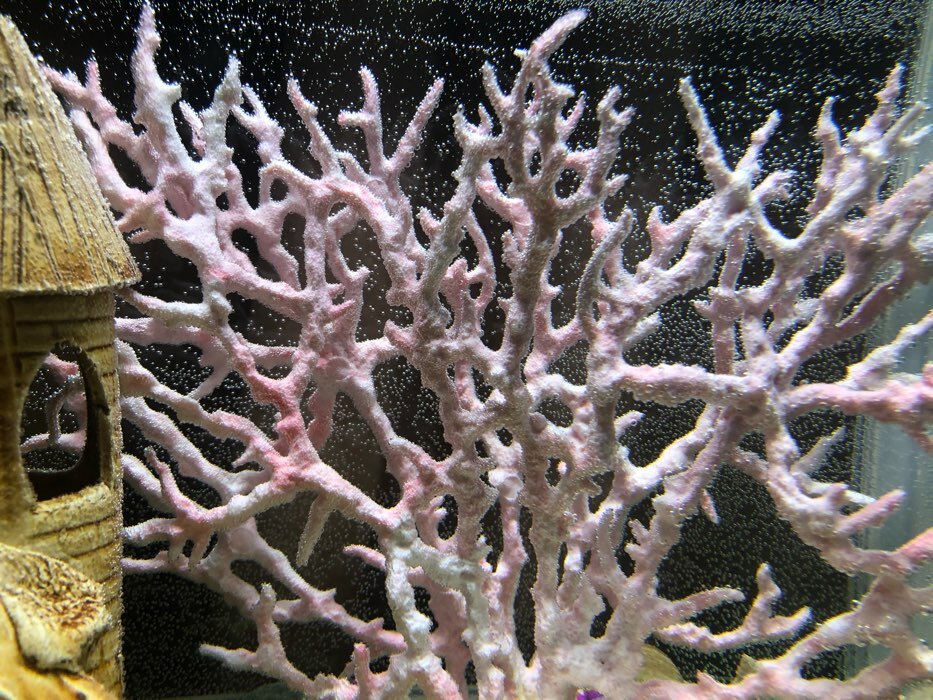 Фотография покупателя товара Коралл пластиковый большой 24,5 х 4 х 19 см, розовый