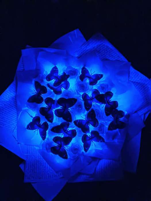Фотография покупателя товара Гирлянда «Нить» 5 м роса, IP20, серебристая нить, 50 LED, свечение синее, CR2032х2