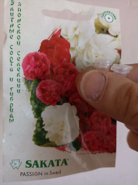 Фотография покупателя товара Семена цветов Бегония "Королева", F1, вечноцветущая, махровая, смесь, гранулы, 4 шт - Фото 2