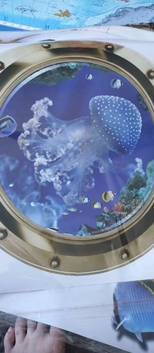 Фотография покупателя товара Наклейка 3Д интерьерная Медуза в илюминаторе 50*50см - Фото 1