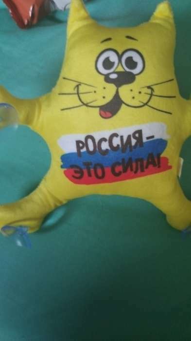 Фотография покупателя товара Автоигрушка «Россия-это сила!», кот, на присосках - Фото 1