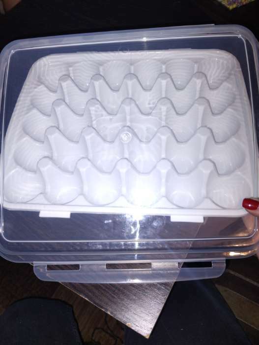 Фотография покупателя товара Контейнер для хранения яиц, 30 ячеек, 32,5×27,5×7,5 см, цвет белый