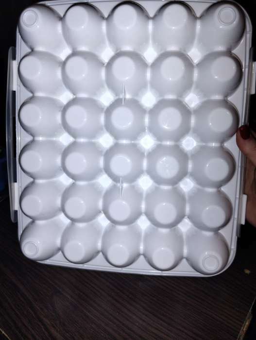 Фотография покупателя товара Контейнер для хранения яиц, 30 ячеек, 32,5×27,5×7,5 см, цвет белый - Фото 3