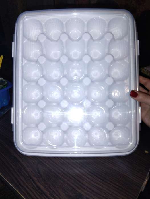Фотография покупателя товара Контейнер для хранения яиц, 30 ячеек, 32,5×27,5×7,5 см, цвет белый - Фото 1