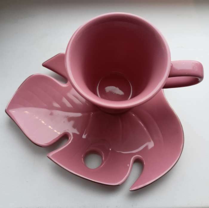 Фотография покупателя товара Чайная пара «Розовая монстера», кружка 100 мл, блюдце 15х14 см - Фото 4