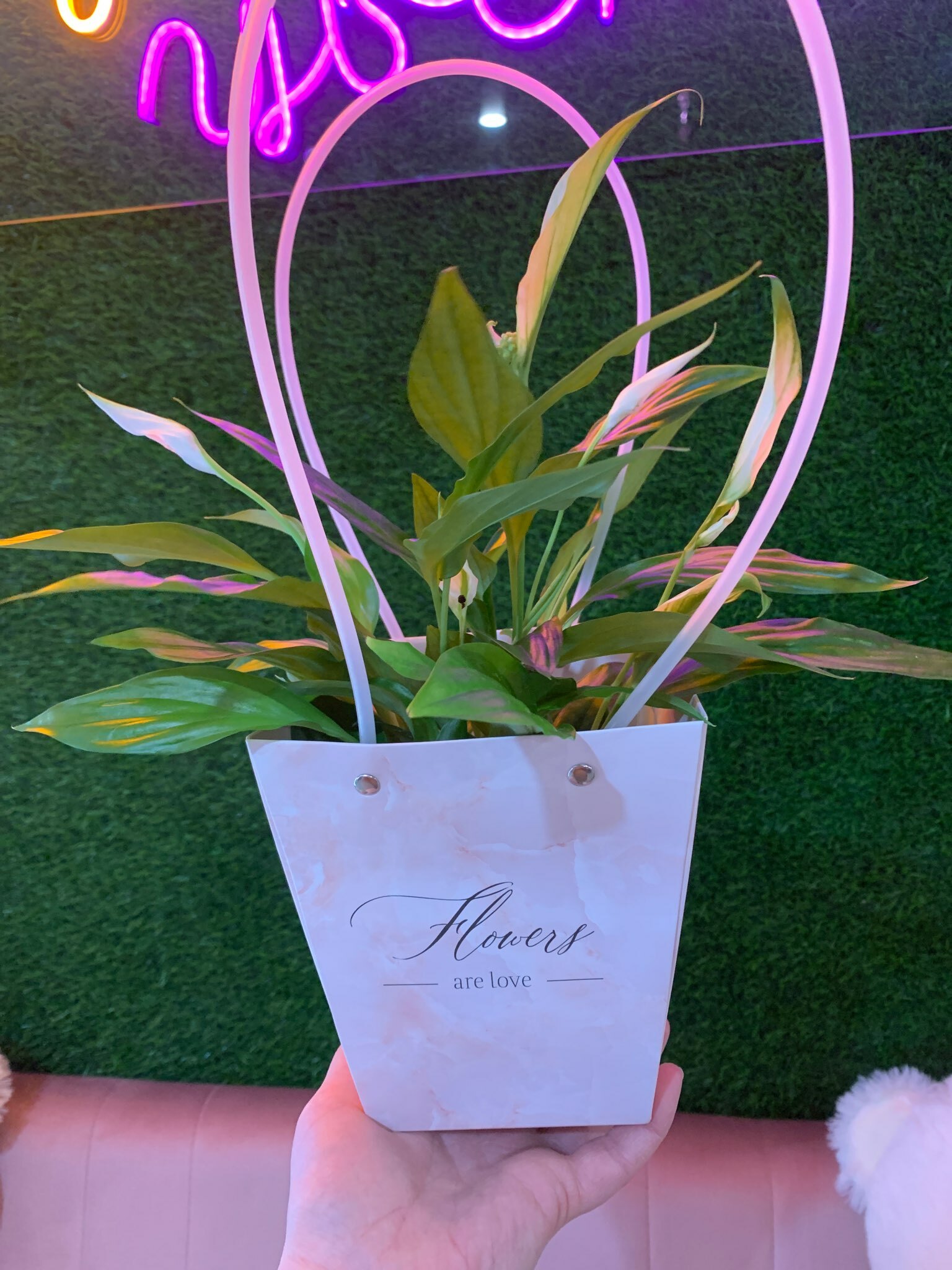 Фотография покупателя товара Переноска для цветов «Нюд», 13.5 х 15 х 9.5 см - Фото 1