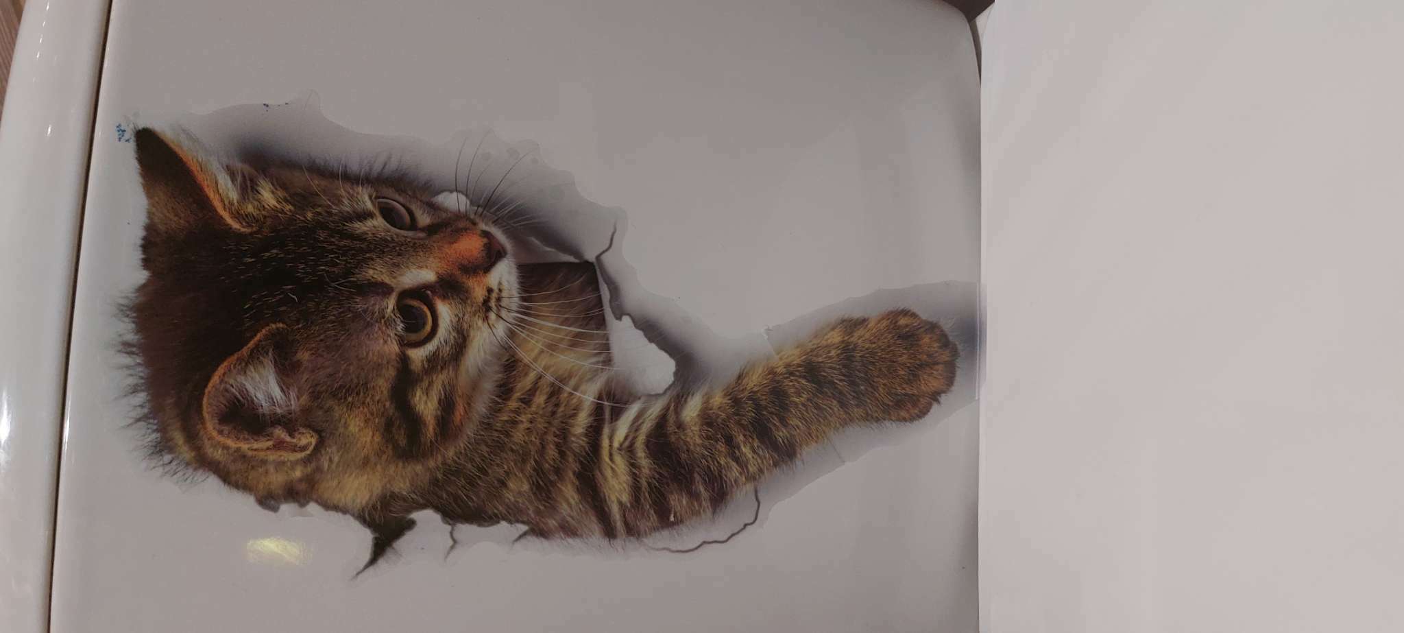 Фотография покупателя товара Наклейка 3Д интерьерная Кошка 25*19см