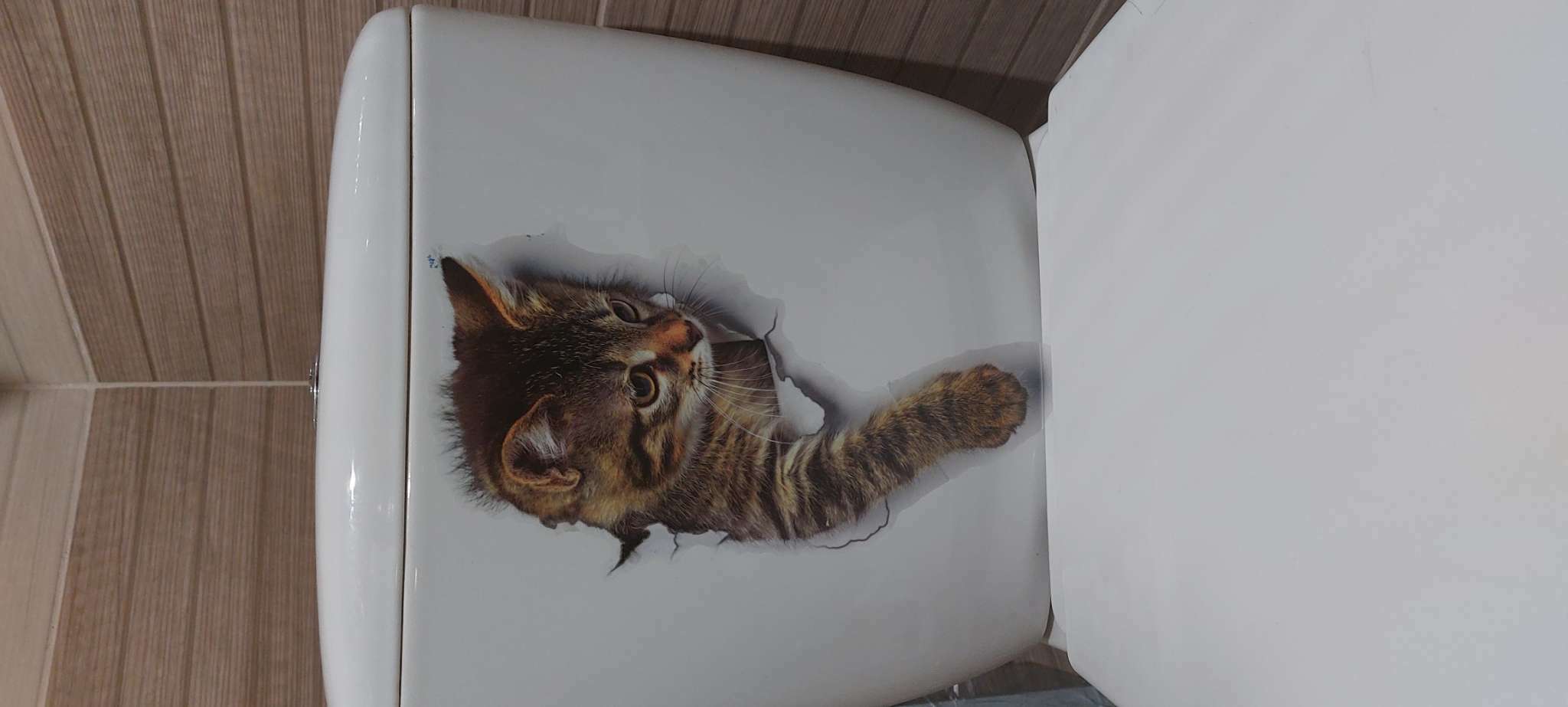 Фотография покупателя товара Наклейка 3Д интерьерная Кошка 25*19см - Фото 2