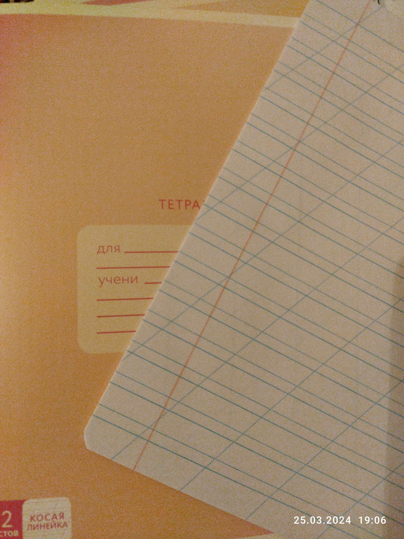 Фотография покупателя товара Тетрадь 12 листов в косую линейку «1 сентября: Учись на 5+», обложка мелованный картон, блок №1, 5 видов МИКС - Фото 1