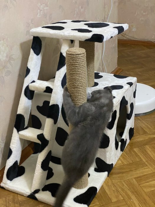 Фотография покупателя товара Домик для кошек с когтеточкой "Домосед", с лестницей и площадкой, 60 х 35 х 56 см, микс - Фото 8