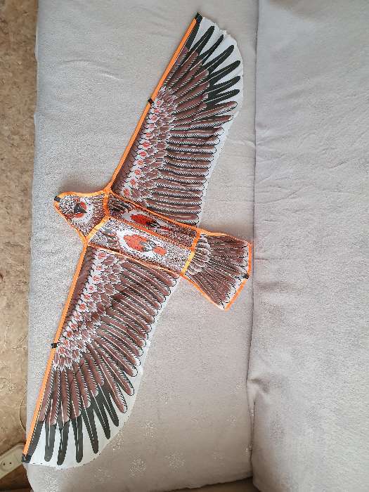 Фотография покупателя товара Воздушный змей «Орёл в полете», с леской - Фото 3
