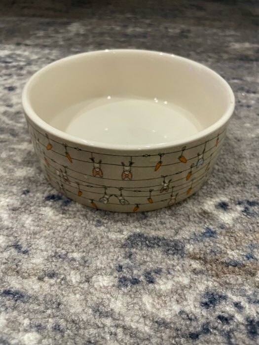 Фотография покупателя товара Миска «Кроличьи игрушки», 300 мл, 11.5×5 см, керамика, бело-серая - Фото 1