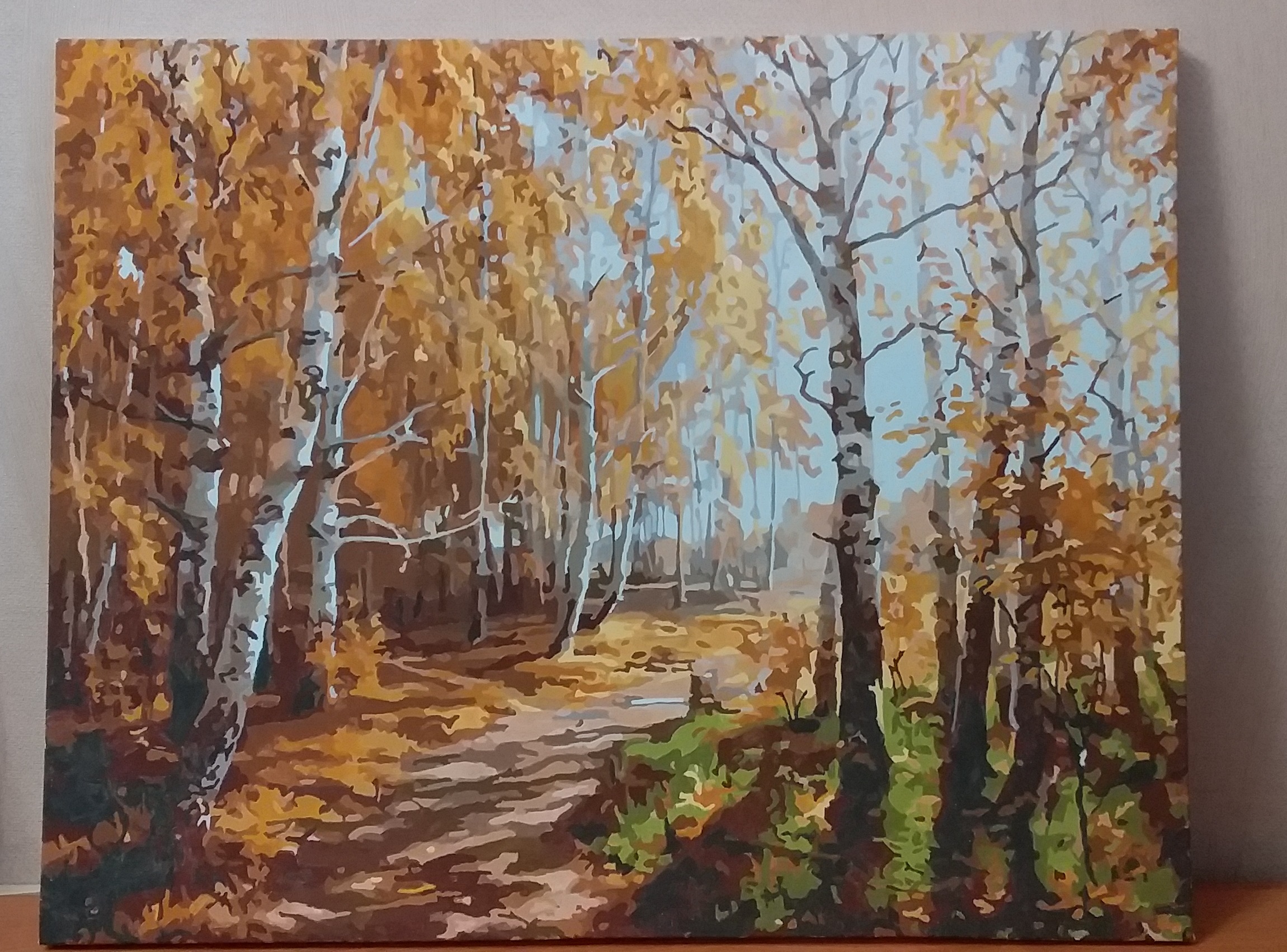 Фотография покупателя товара Картина по номерам «Осенняя прогулка» 40×50 см - Фото 2