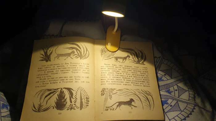 Фотография покупателя товара Лампа для чтения "Зверята" LED 1Вт 3хLR44 МИКС 6х3х16см RISALUX - Фото 1