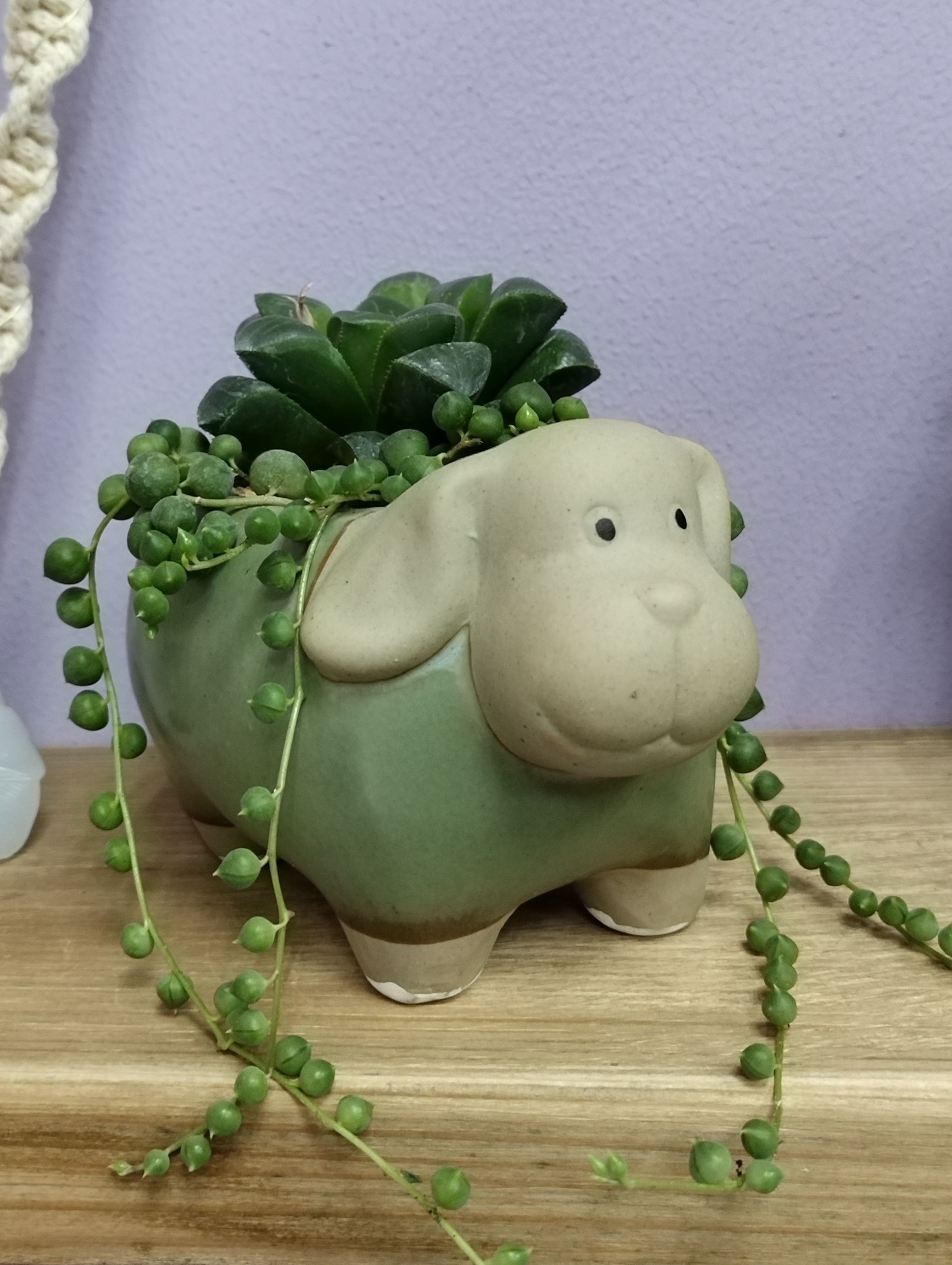 Фотография покупателя товара Горшок для цветов «Лаки слоник», 300 мл, 11×9×8 см, керамика - Фото 3