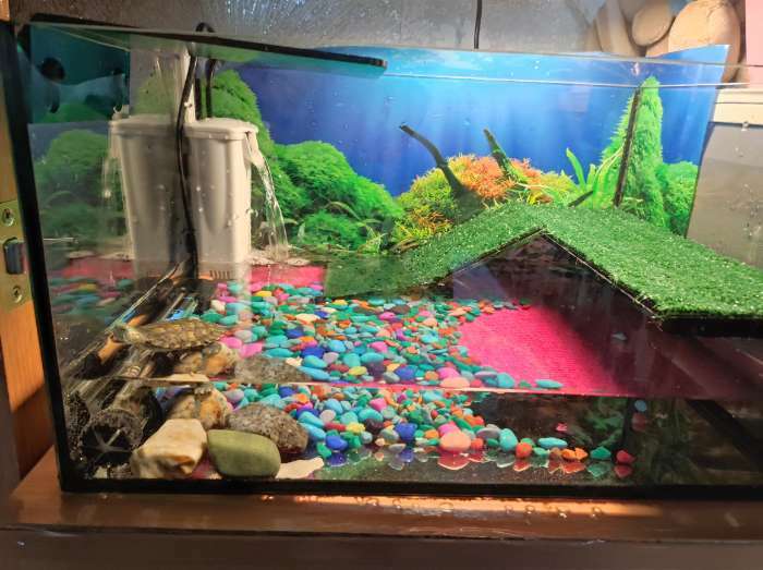 Фотография покупателя товара Террариум для черепах 25 л, без крышки с полкой и лесенкой, 40×29×22 см - Фото 1